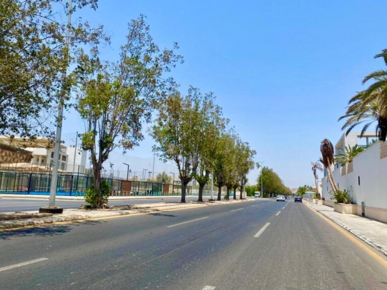 009dbe36 abf0 4030 9cb1 95d4cbcea50e file.jpg