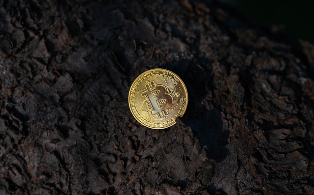 01ec050a bd22 486d 9f0a d9a3f2a624a3