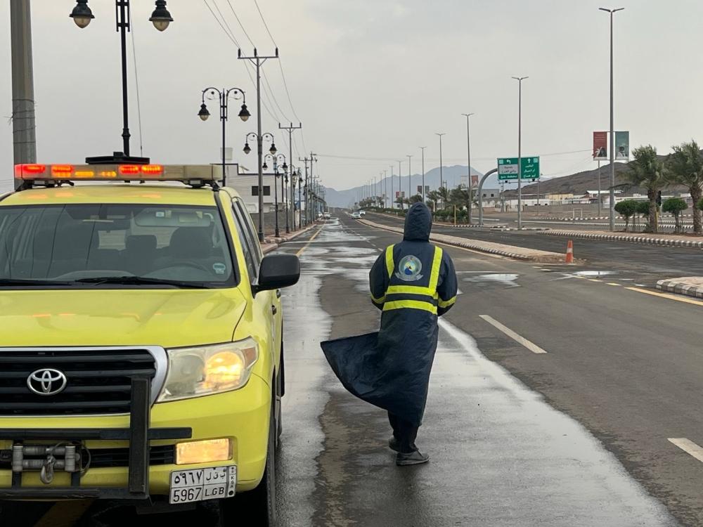 02c8fdbd 0c01 4928 ad37 66a6ffc8c127 file.jpg