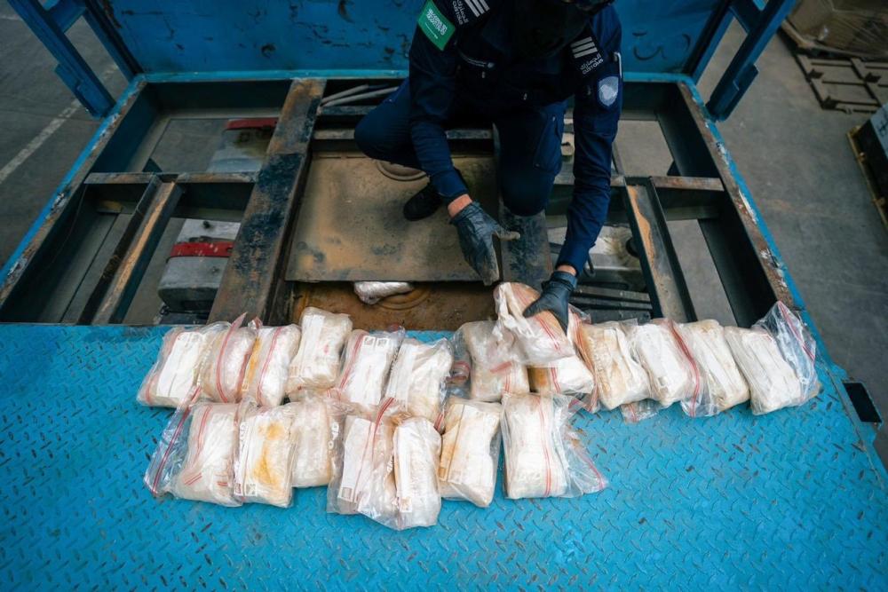 079e3fb5 11ba 45e6 a19a 4164b29b50ca file.jpg