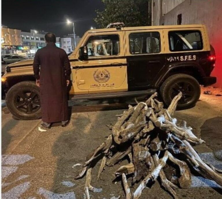 0905f0d5 d255 434d 94fd ab6b34c8fdae file.jpg