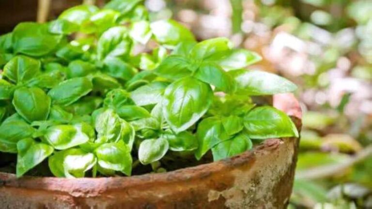 099ac798 90e7 45d6 805a 12a791205be0 file.jpg