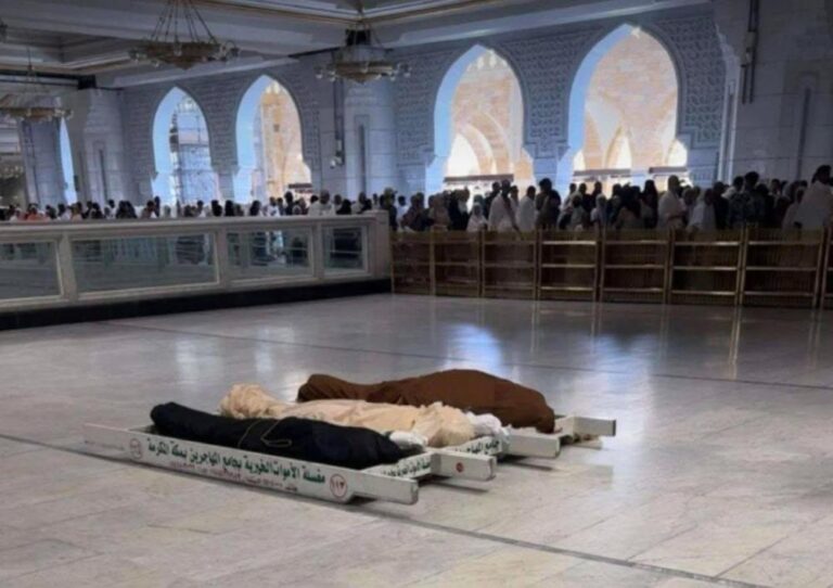 11c96321 f318 4f36 b8d0 22df2b07d4ac file.jpg