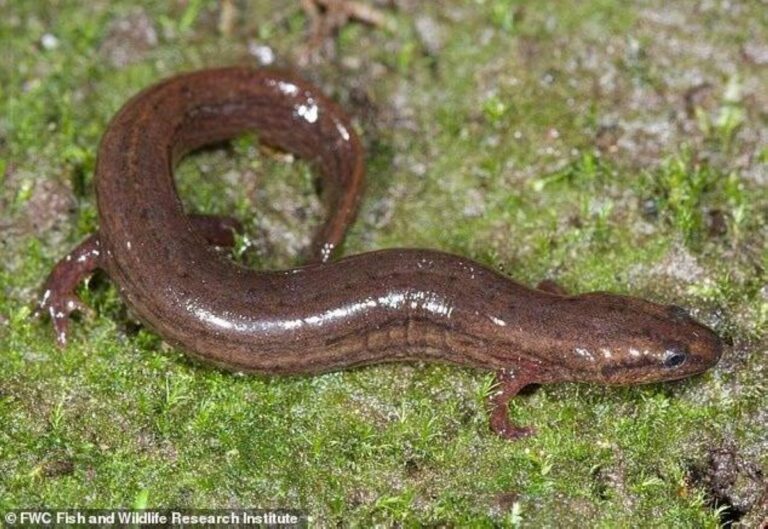 137beb40 f978 4c91 aa5a 3c39c1b05632 file.jpg