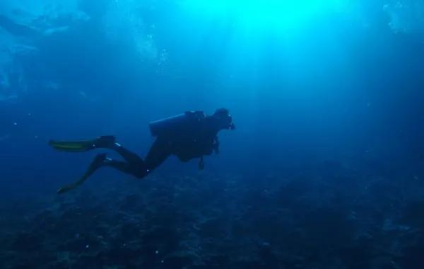 13a18e4f f226 45cf b7cb 977102e1bde3 file.jpg