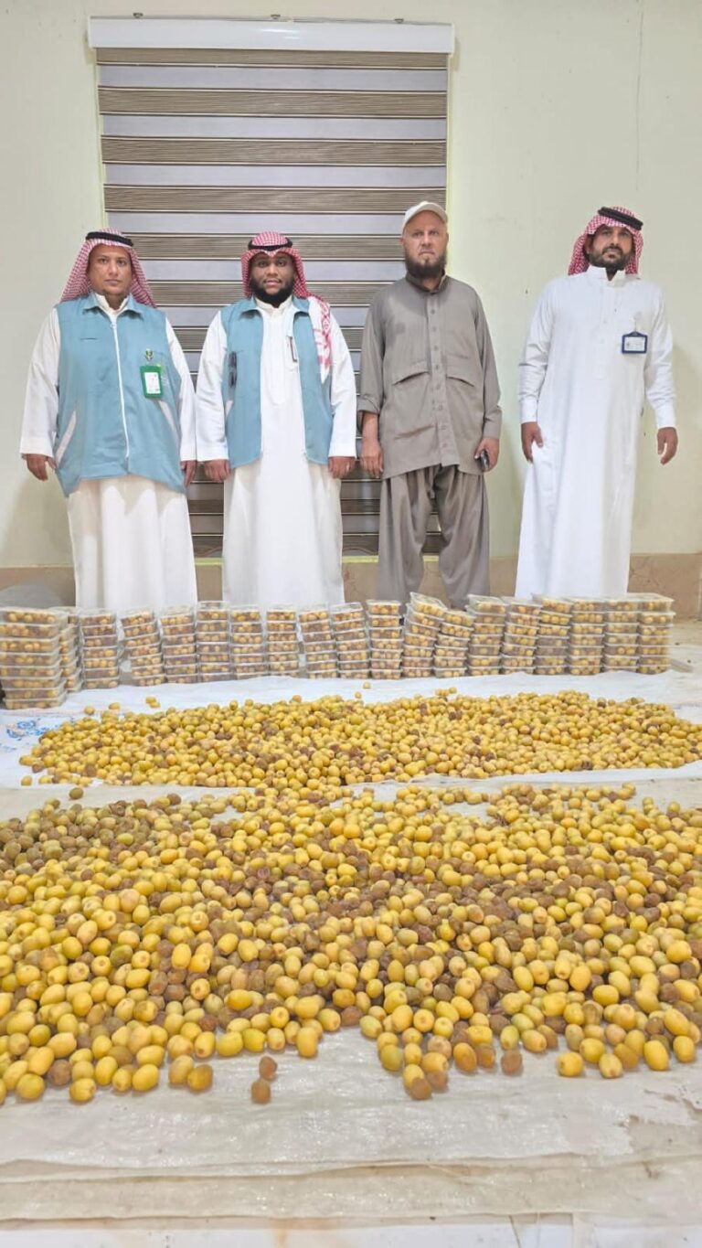 16dae6af e631 4780 9740 bc1de0834a45 file.jpg