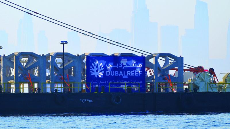 18e583a2 6e80 4da3 99d5 67515dfc059f file.jpg