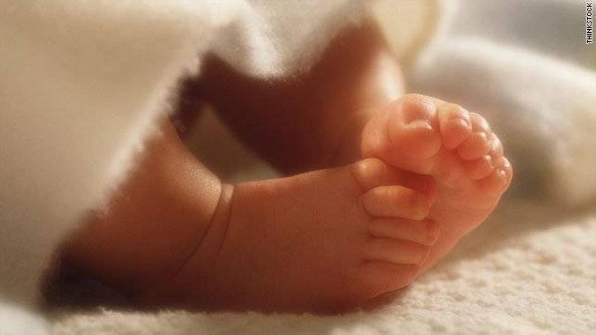 19cd06c5 7fd7 400a 8fda 06b7af82cca5 file.jpg