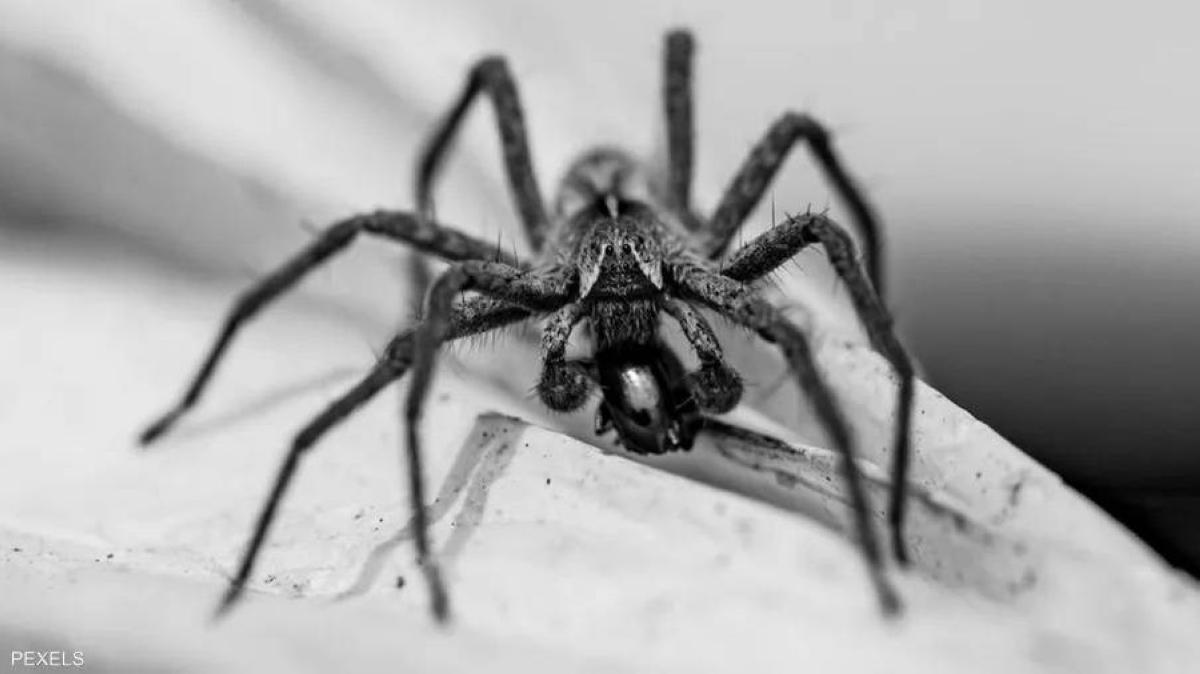 1b95ed74 2938 4764 be64 a6351a16e2ee file.jpg