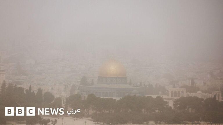 1d49336c 71b8 45ba ab93 d97ef755a7ac file.jpg