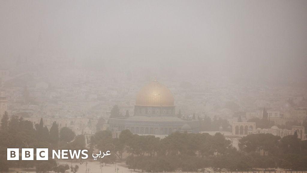 1d49336c 71b8 45ba ab93 d97ef755a7ac file.jpg