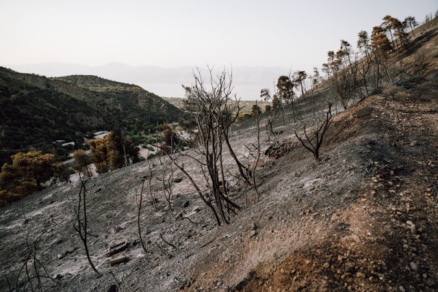 1f12757c c901 4b37 a8ce a4992adc70dc