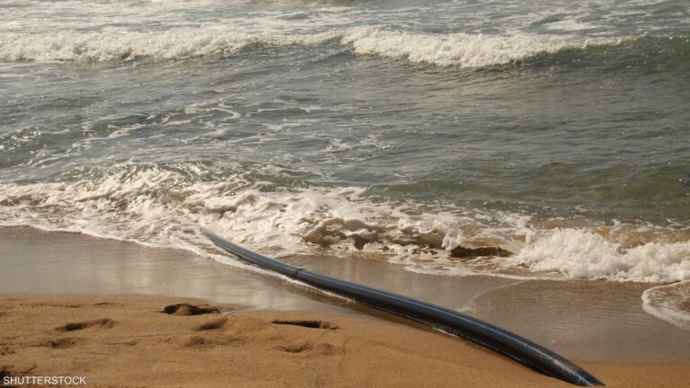 290591f9 f633 45d4 962e c98fac4b60e5 file.jpeg