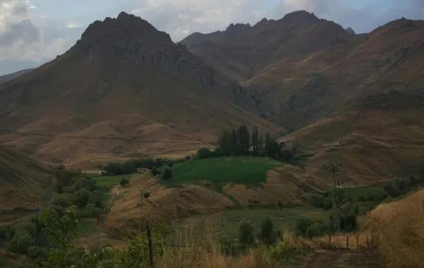 2d8410ab 7c33 4efc be4d f671e9ea6de3 file.jpg