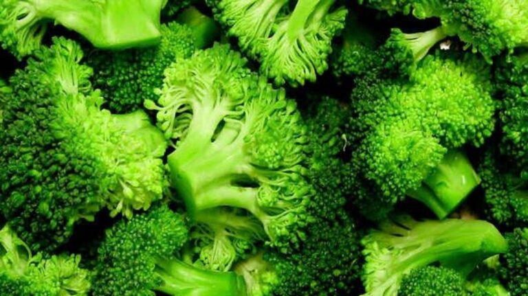 3149fc38 f46e 48b2 9fd5 217738e95dd1 file.jpg