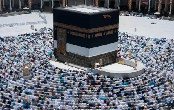 32c31beb 6aa2 45e6 8722 e18c24f4f2da file.jpg