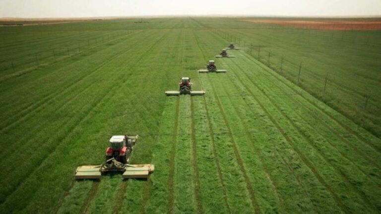 3370aede 3e3b 4423 8867 f701d59e1104 file.jpg