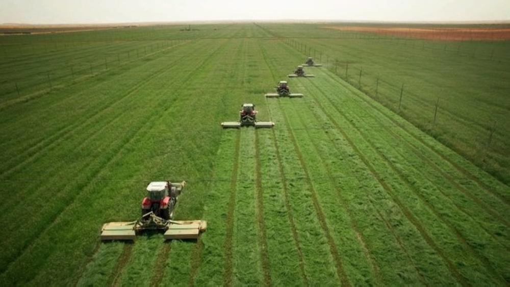 3370aede 3e3b 4423 8867 f701d59e1104 file.jpg