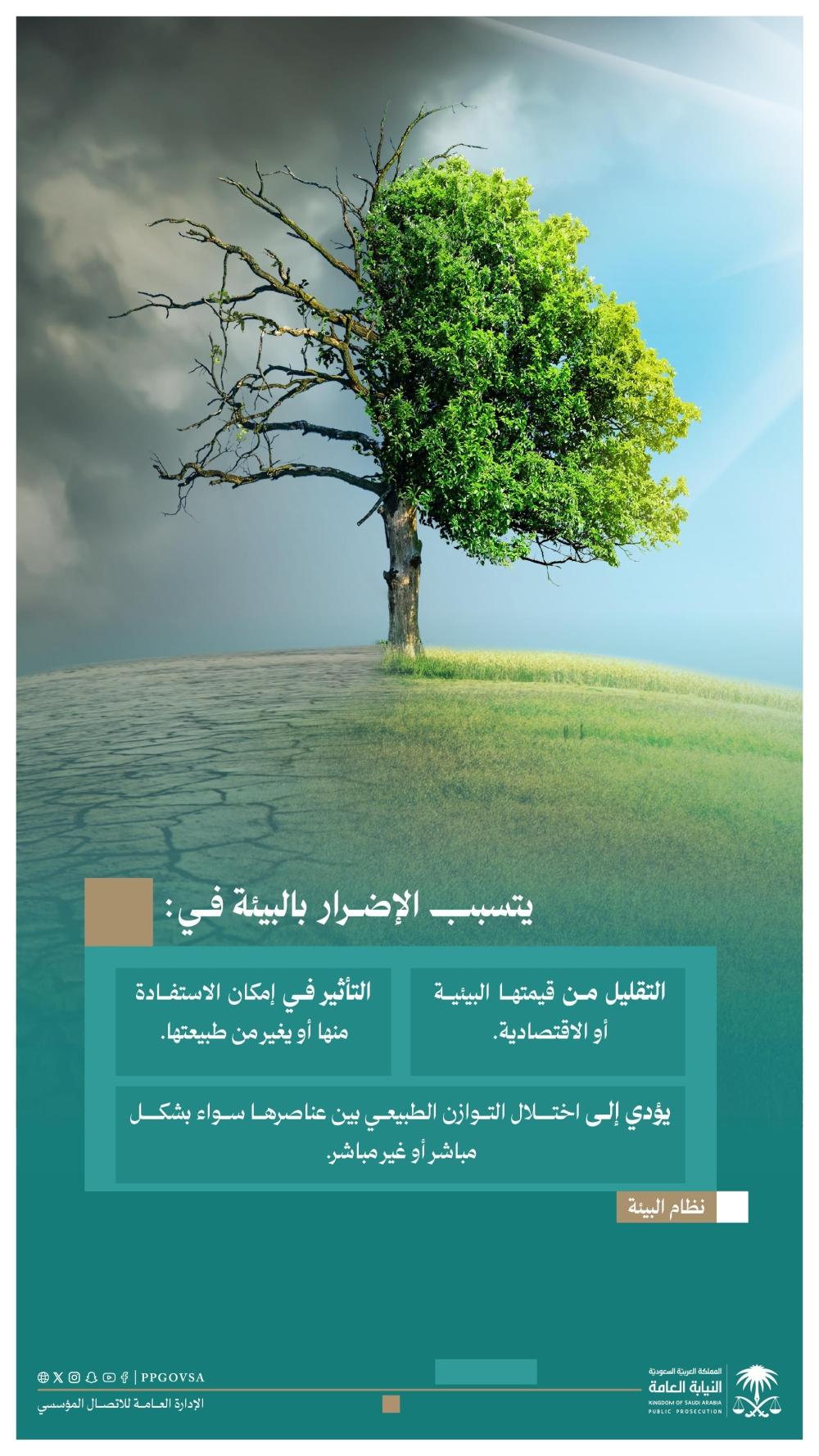 33740652 ef66 4064 be30 ab09891abfeb file.jpg