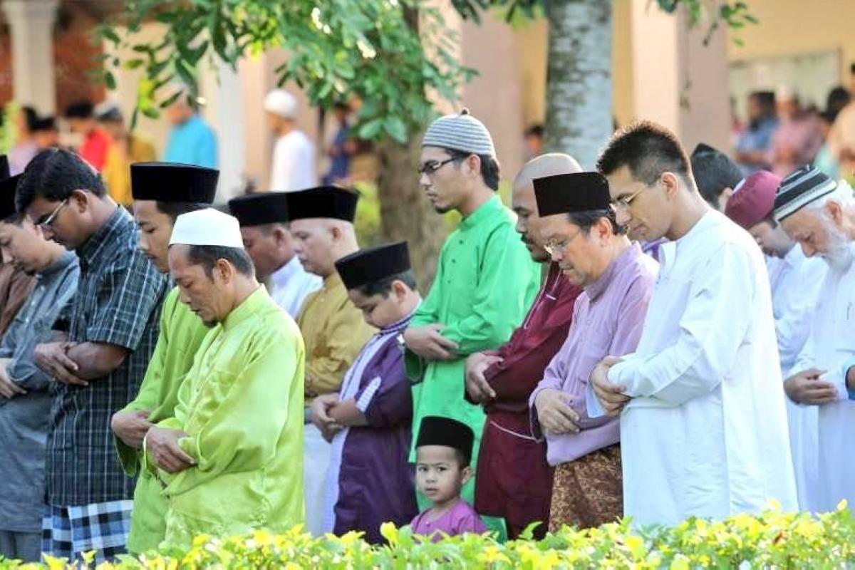 35413d84 13a7 4d77 853d 9964189b197c file.jpg