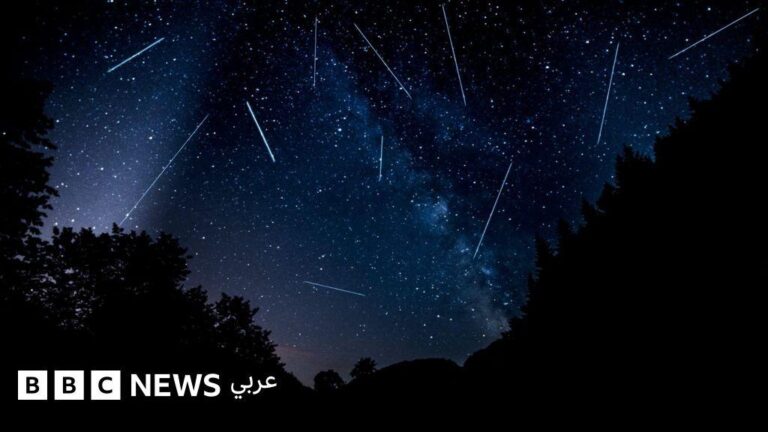 35ad6bfb 388c 4875 a5ca 5f42ca322c3f file.jpg