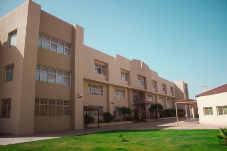 3ae163e6 461d 4d42 a2d8 ec40bcf503a2 file.jpg