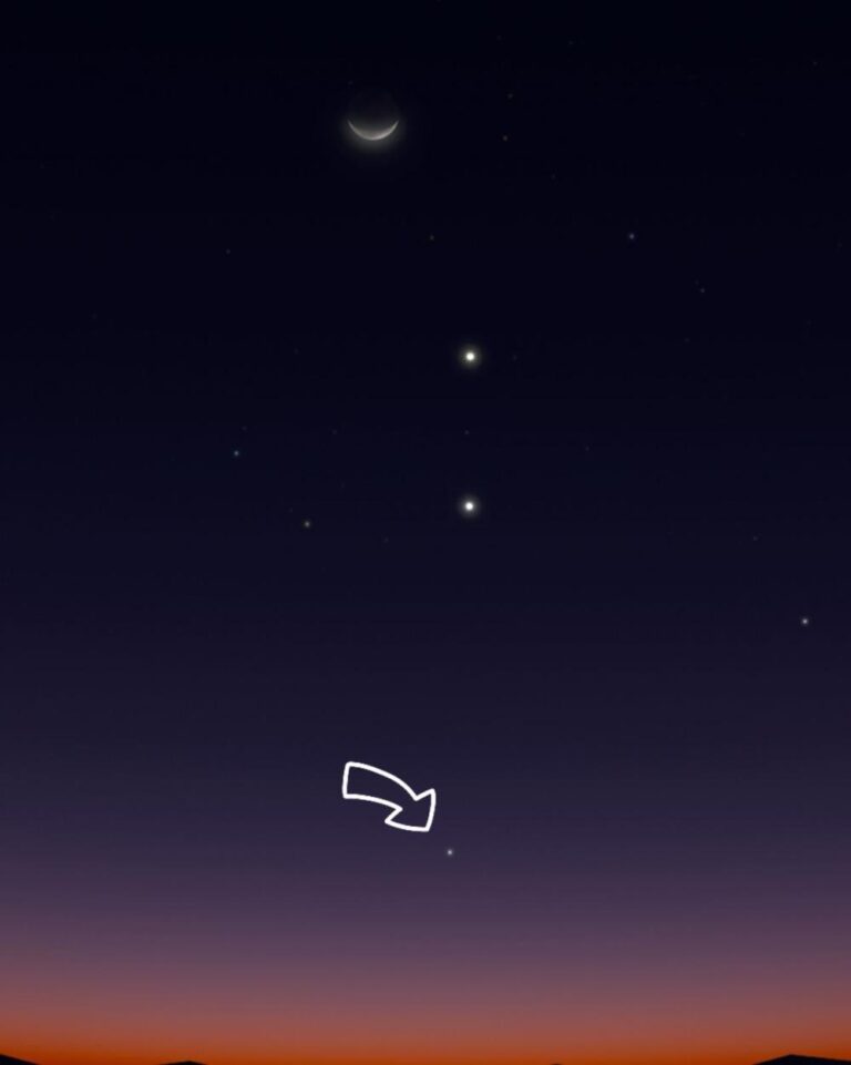 3cdeae7c 64d2 44df 973a 3038296372d1 file.jpg