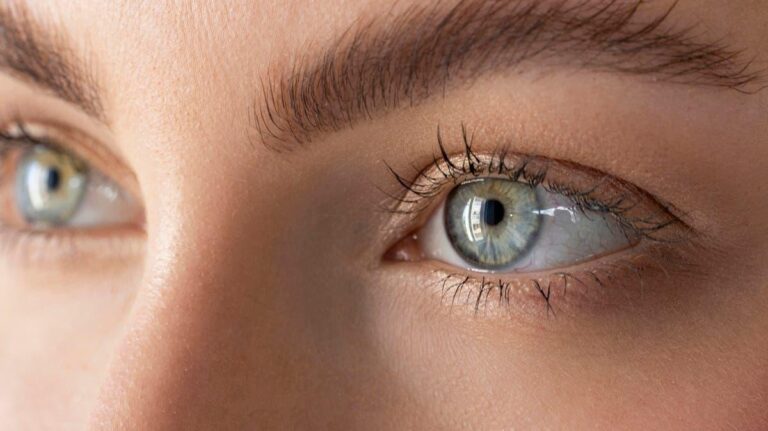 3f99356d e35e 40d9 a298 d203c836093a file.jpg