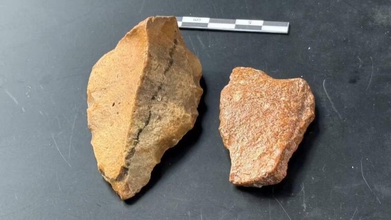 40970e79 ece0 4326 9b5e 652bcdd074ea file.jpg