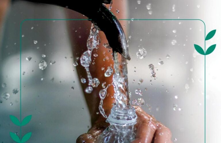 40f08fa0 04e0 46e0 9337 2e1109b2dd74 file.jpg