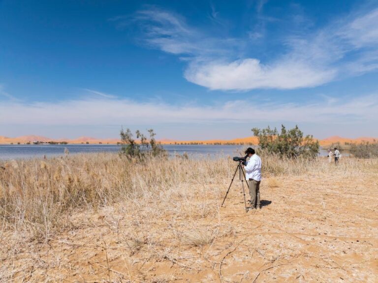 42a3c94c 8387 48a8 a106 1abc62b18146 file.jpg