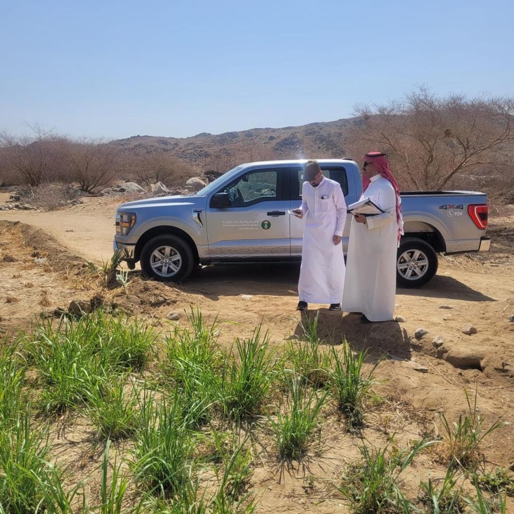 43496783 dc16 450a a8ed e4df0c8a1c0b file.jpg