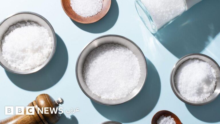 456ac2d0 d8a9 4e6b 9545 5852ee072435 file.jpg