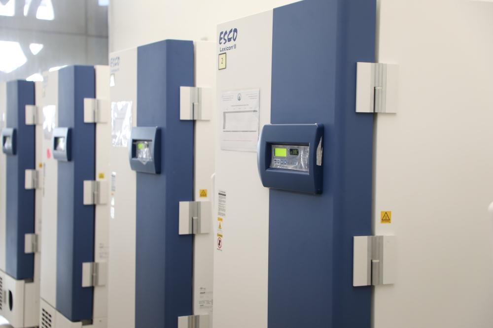 4a44720a 902c 40a4 b432 8a59d42adcb7 file.jpg