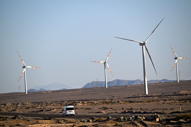 4b8e35a3 bb4c 4044 991a 29ff3e8d3245 file.jpeg