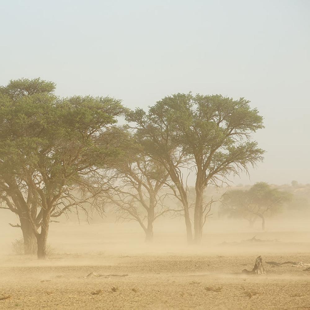 4cfc613f ab81 4660 bbff b47505a8eaa0 file.jpg