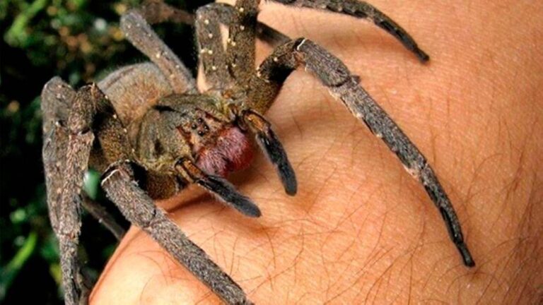 4d4f6e75 f40b 45b2 81c4 56f38bd23771 file.jpg