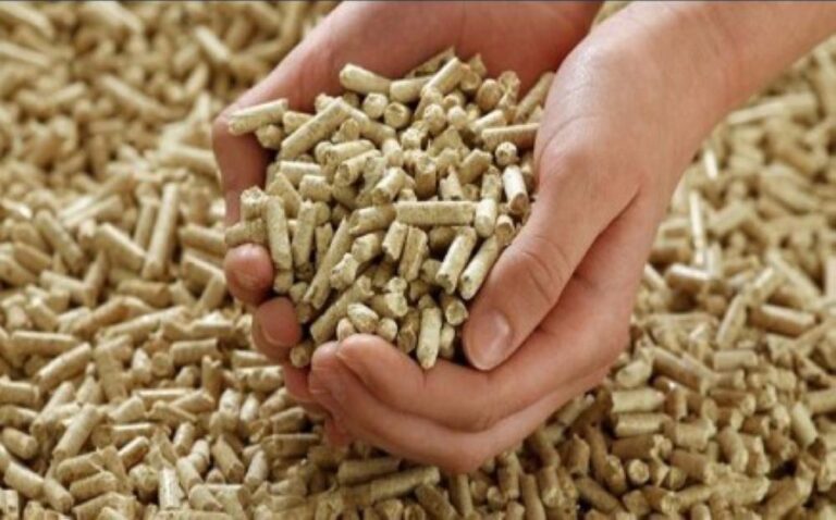 4e92e15a 49e3 4fb1 a94a ccbee13afbec file.jpg