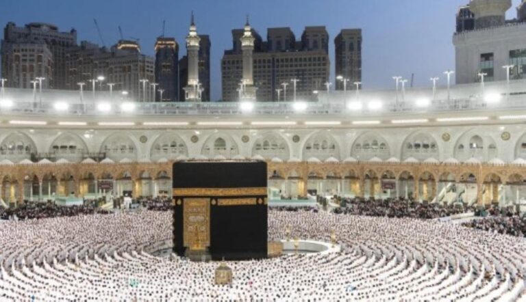 50762de6 bafc 4d57 915f 89a82bba3312 file.jpg