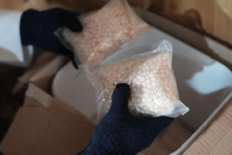 55871b5d 348d 4a9d 8436 5c24fcec78d4 file.jpg