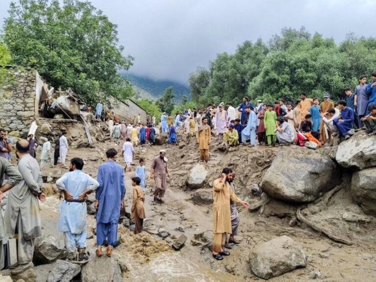 57188470 8c3d 4ac5 9ea4 634436ed5340 file.jpg