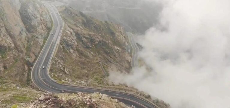 57a87944 74cf 46fe ba72 5dbfecef15ea file.jpg