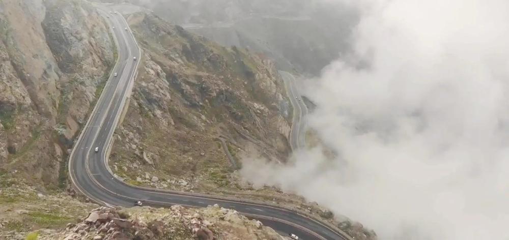 57a87944 74cf 46fe ba72 5dbfecef15ea file.jpg