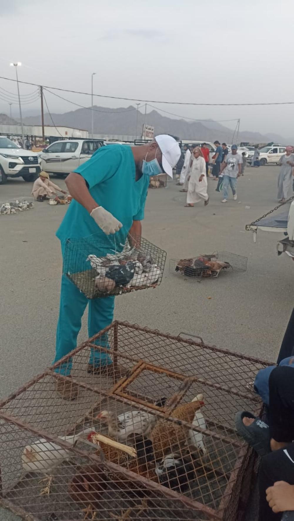 57dafc2c d3bd 4c26 9f79 32ca34dcd5d3 file.jpg