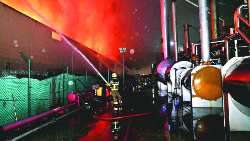 59a807cb 3e3c 4c1e 8fc1 aa9288a84e0a file.jpg