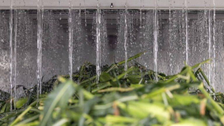 59f9bd93 896d 4095 a614 906360b8e55b file.jpg