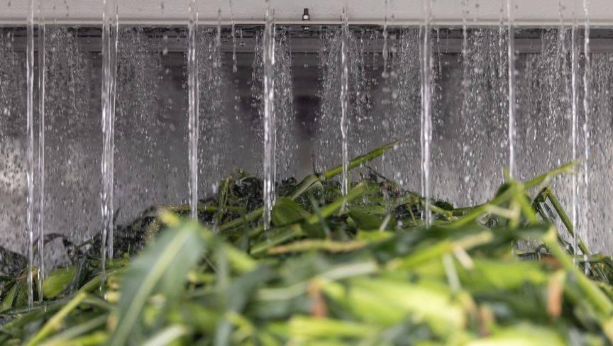 59f9bd93 896d 4095 a614 906360b8e55b file.jpg