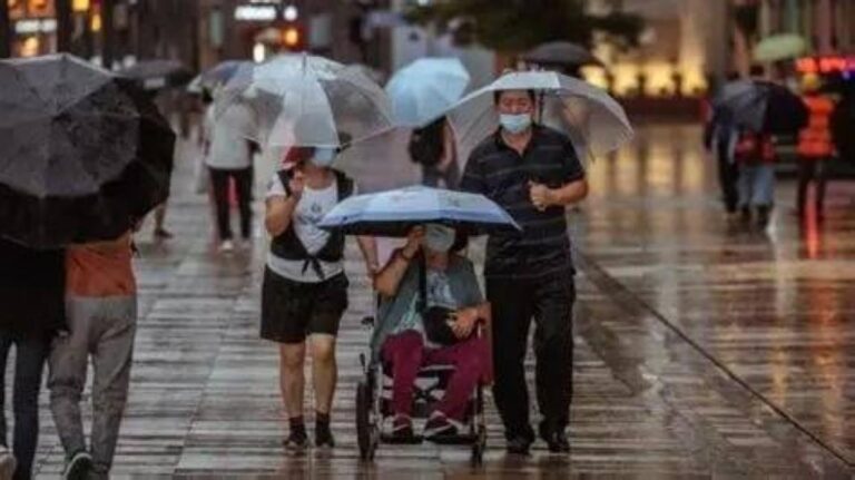 5b34233b 83fe 40ef 9166 cbb00b82da1b file.jpg