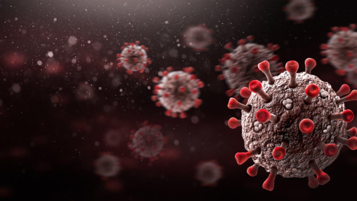 5ec31b8c 29e4 4814 9366 8823ff11d312 file.jpg