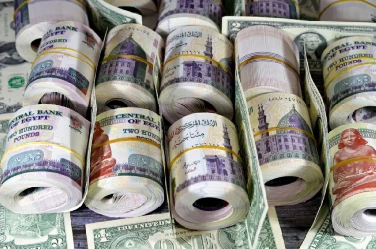 5f3cf3ec fc41 45b8 8407 ba376b1fc23f file.webp